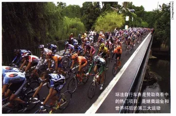 环法，为什么没有咱家的自行车？