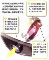 寻找失落的世界2