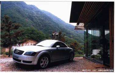安东说：我老是拿建筑比人