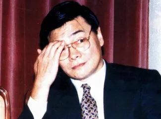 作为官员的金融家的倒掉