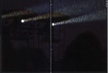 快让我在雪山下撒点野11