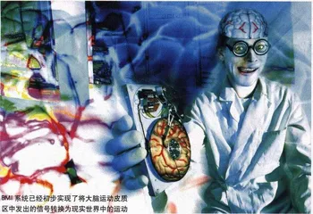 我思故我动1
