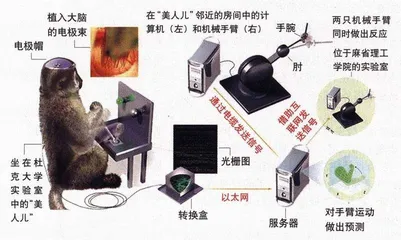 我思故我动2