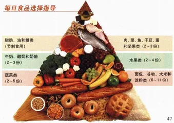 快餐食品与健康
