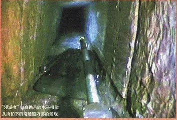 金字塔的漫游者和见证人