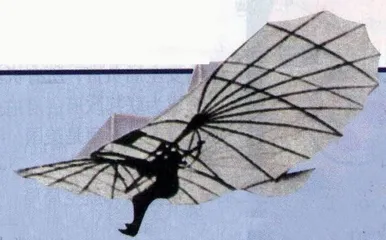 飞行恐惧症(195)11
