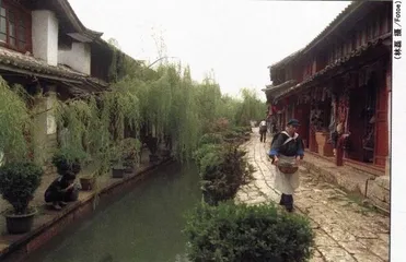 人人都说我爱香格里拉1