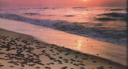 走进神秘海