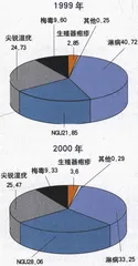 中国性病报告4