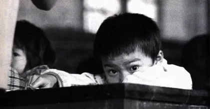 价值31万元的两个耳光