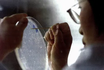 科学是容易的，政治是困难的