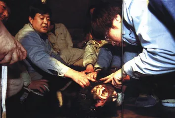 人熊之辩