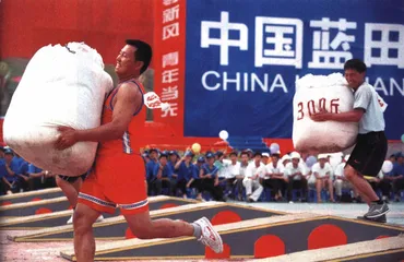 “蓝田”传奇的家族调查5