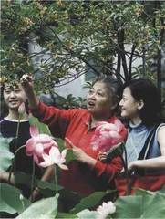 上海桂花期待国际登陆1