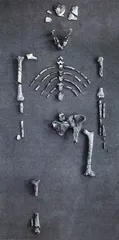 找那第一个人