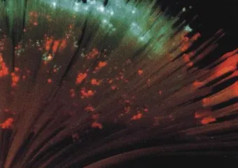 “更深的蓝”5