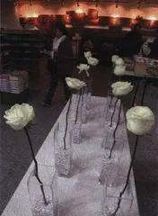 “知识就是力量”与挠痒1