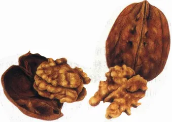 你的饭碗应该是一个调色板(180)6