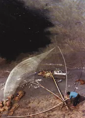 长江污水三角洲