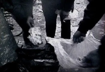 武汉麦当劳的“毒油失控”事件1