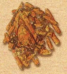 沉船中的财富与文明7