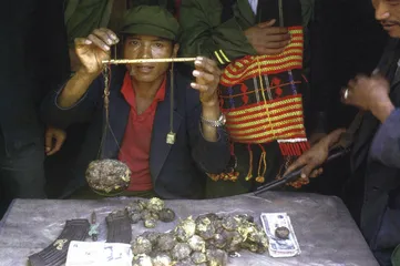 金三角变局7