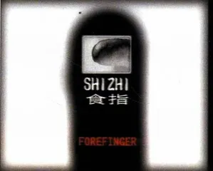 报道：独立映像节的映像民主化4