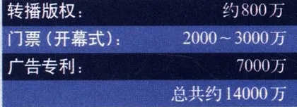 谁为全运会买单10