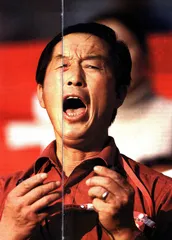 谁为全运会买单11