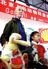 报道：珍·古德尔：接近自然才是快乐之源
