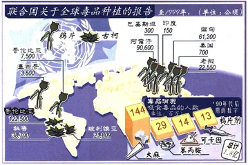 后坤沙时代的金三角8