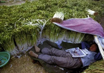 报道：中国加入WTO的利弊观