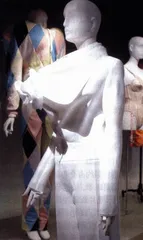 极美的嚎叫5