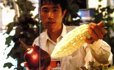 中国基因专利的长短线之争