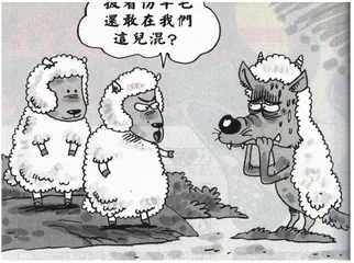 生活圆桌(157)