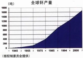 邮购核弹：拉登与恐怖分子的终极武器2