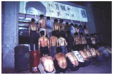 报道：与另一种身体共舞2