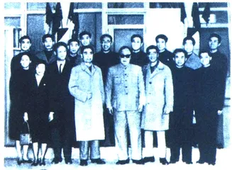 中国医生和非洲大象8