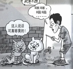 生活圆桌(162)