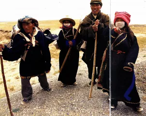 青藏铁路的环境与民生之争