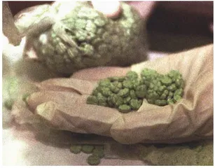 报道：迪厅里的摇头和疯狂4