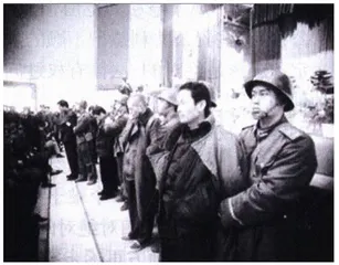 三种新罪名：多余还是必要？2