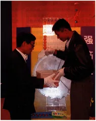 低智商犯罪？