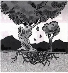 生活圆桌(141)3