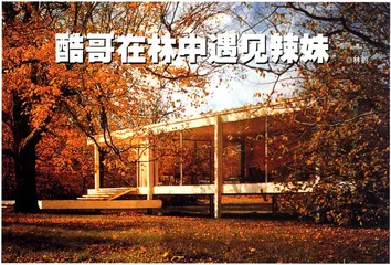 酷哥在林中遇见辣妹