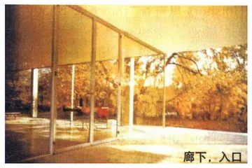 酷哥在林中遇见辣妹1