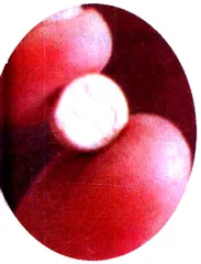 摇头玩5