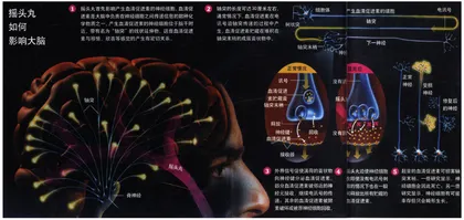 摇头玩10
