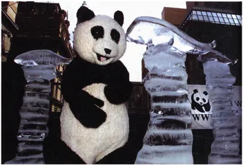 绿色恐怖主义：最善意的恐怖2