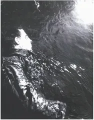 摄影：我们世界的终结者2